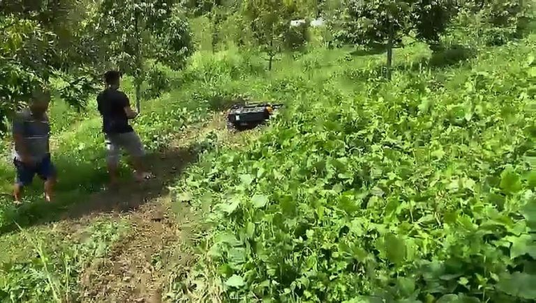 remote control lawn mower for Malaysia